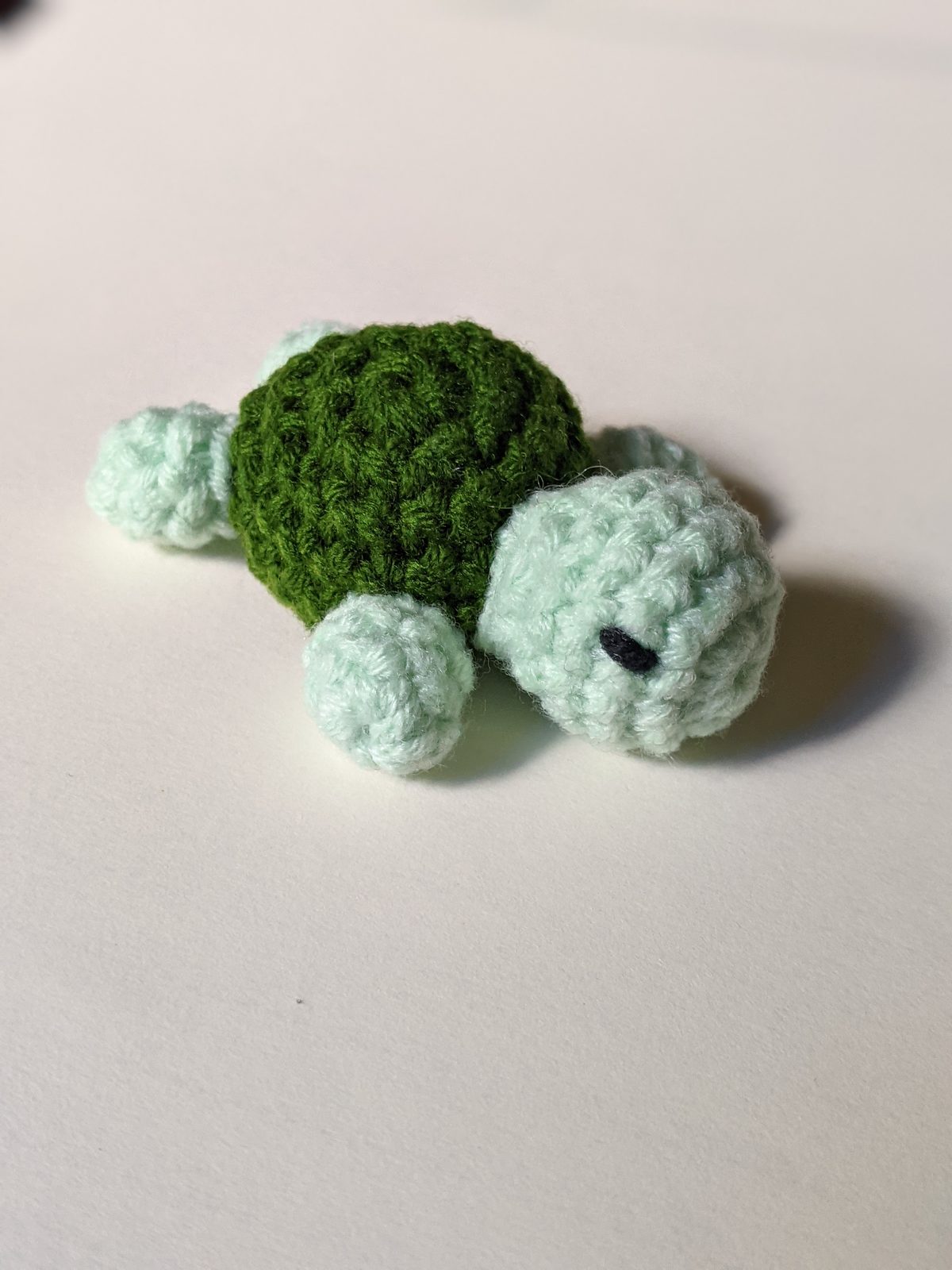 Completed tiny pocket turtle in clean side profile on white background