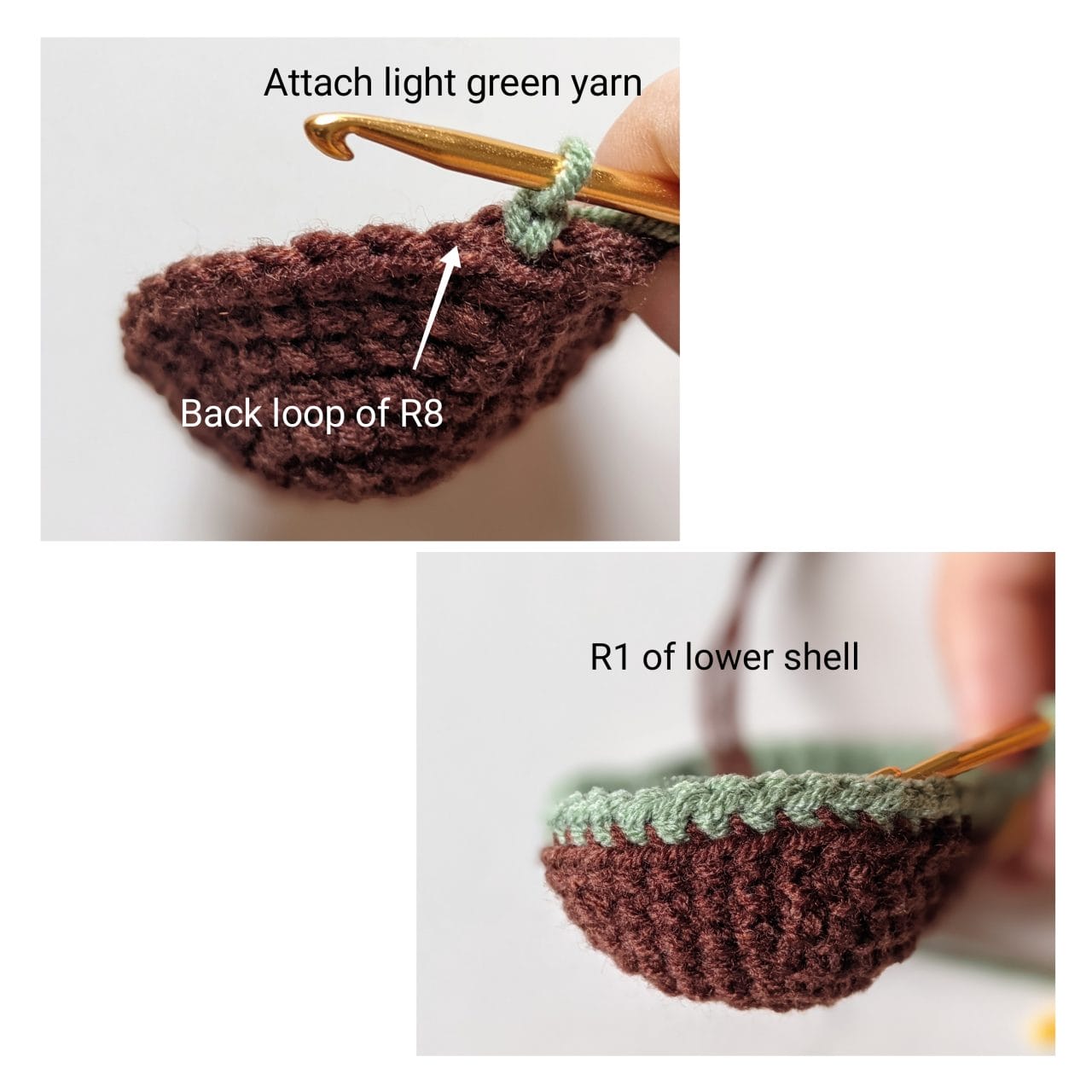 Green yarn joined to the back loops of the brown shell to begin the bottom shell