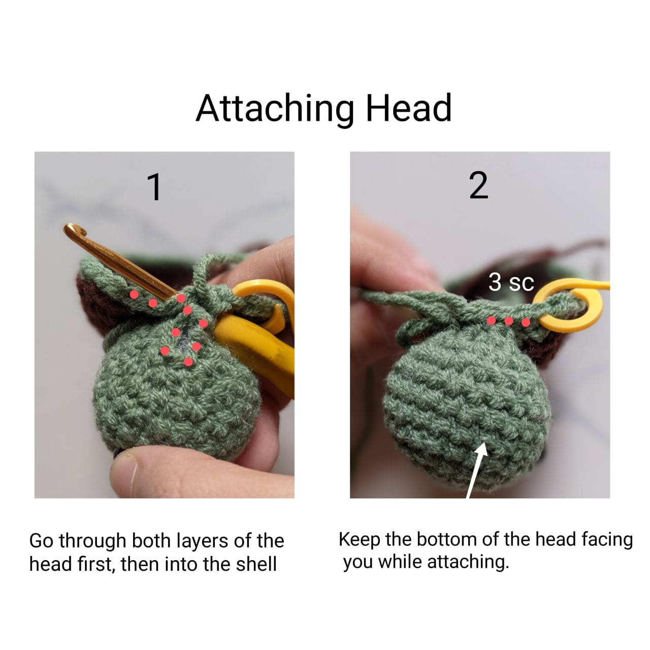 Turtle head held against the shell edge while being crocheted on
