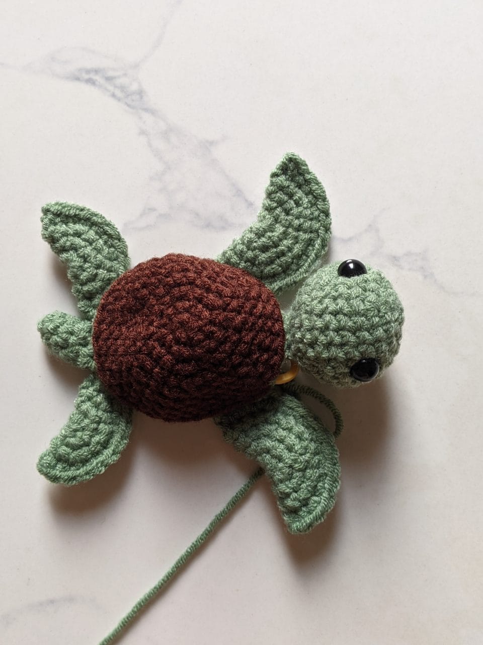 Closed green underside of the finished turtle shell