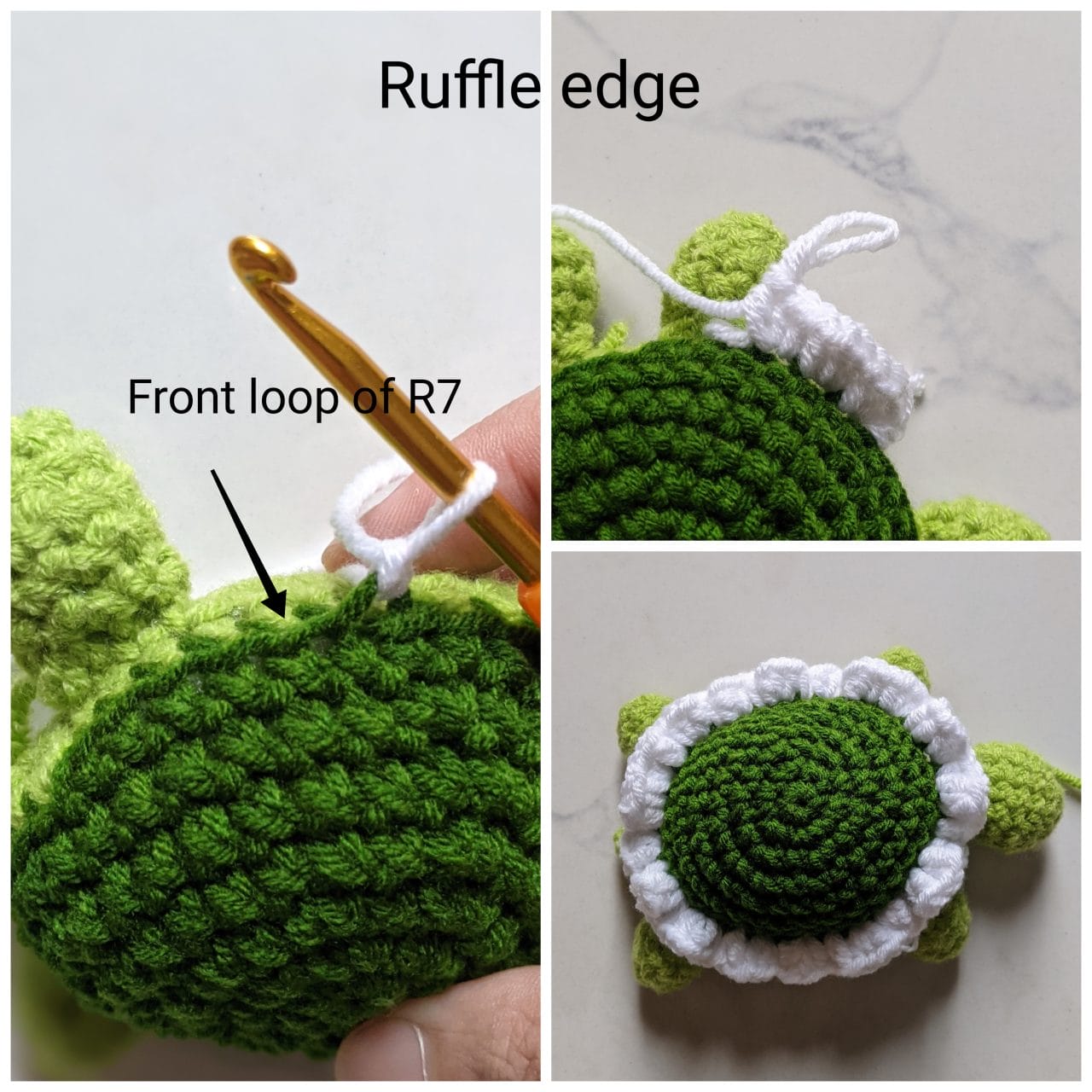 White yarn joined to the front loops around the edge of the dark green tortoise shell