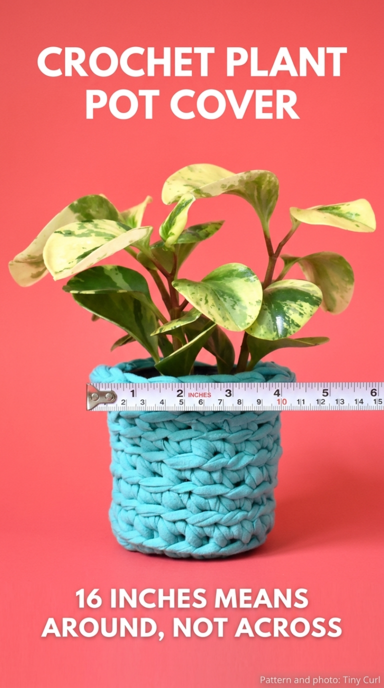 Three crochet plant pot covers in cream and plum moss stitch stripes on pothos, fern and succulent pots