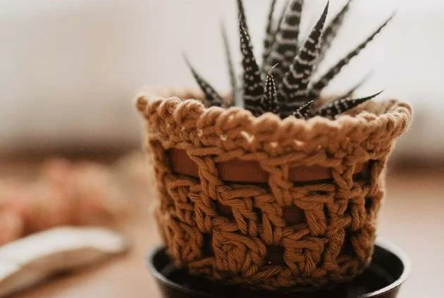 Rust brown crochet plant pot cover with a basketweave texture on a small pot holding a zebra haworthia succulent