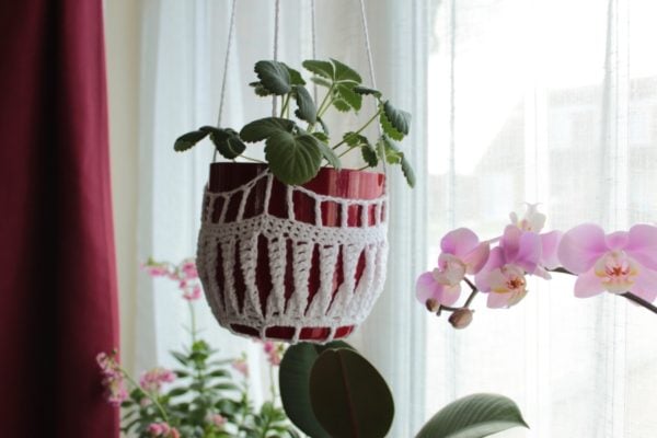 Cream openwork crochet plant pot cover on a dark red hanging pot with a trailing green plant by a window