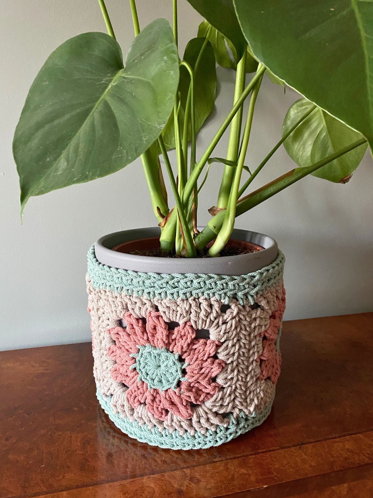 Crochet plant pot cover made from peach and mint granny squares on a grey pot holding a monstera
