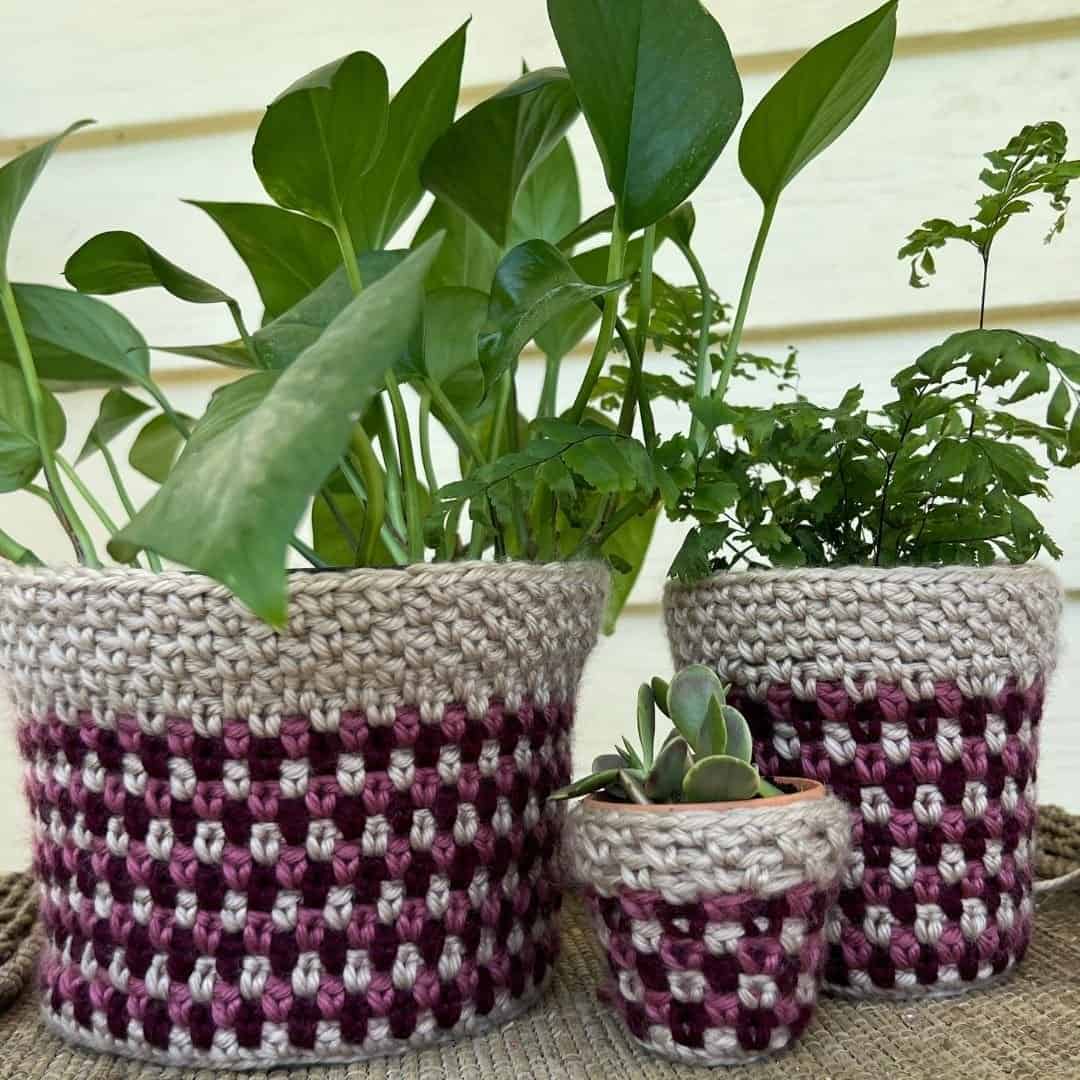 Three crochet plant pot covers in cream and plum moss stitch stripes on pothos, fern and succulent pots