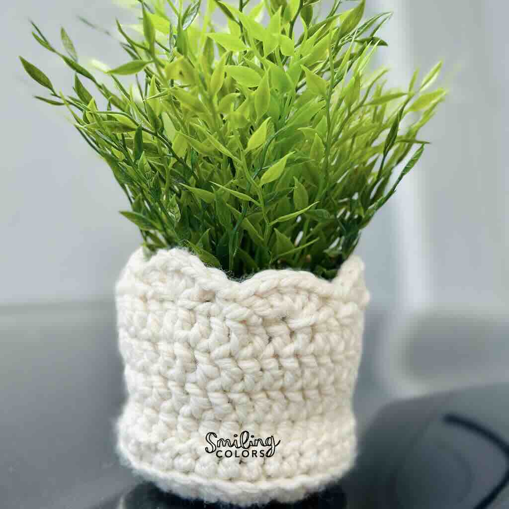 Cream chunky crochet plant pot cover with a scalloped top edge holding a green leafy plant