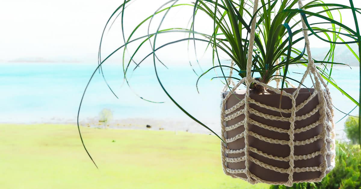 Cream crochet plant hanger with open ribbed rows holding a brown pot with a ponytail palm in front of the sea
